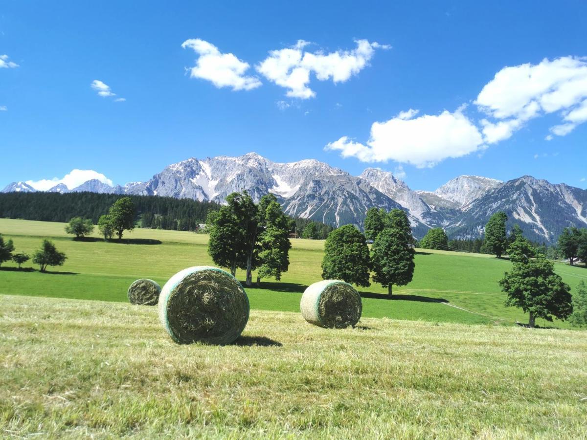 Biobauernhof Brandlhof Apartment Ramsau am Dachstein Exterior photo