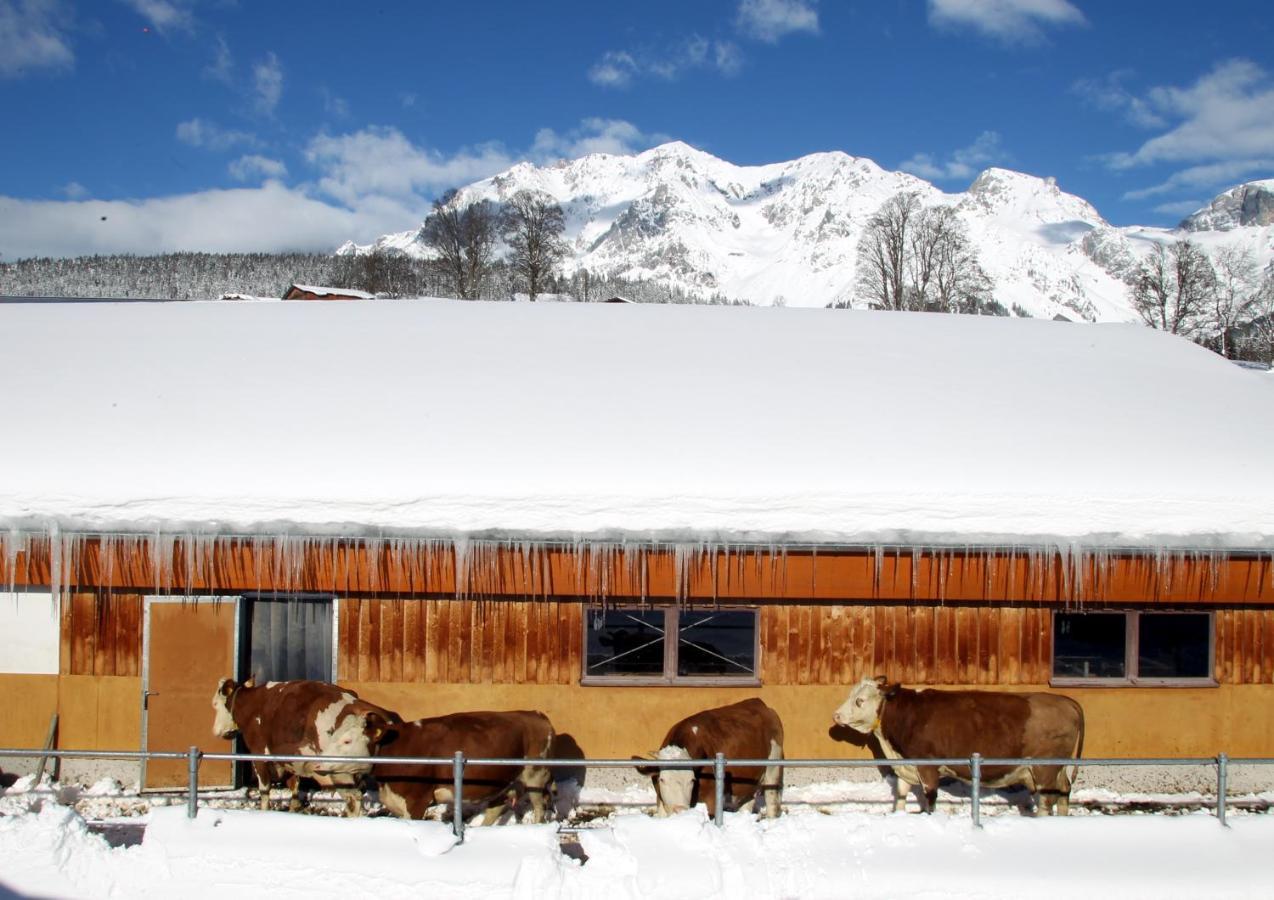 Biobauernhof Brandlhof Apartment Ramsau am Dachstein Exterior photo