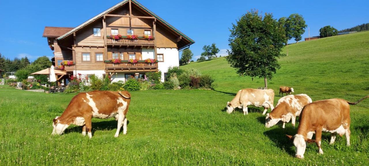Biobauernhof Brandlhof Apartment Ramsau am Dachstein Exterior photo